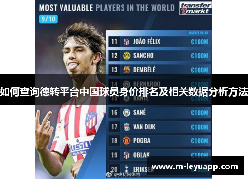 如何查询德转平台中国球员身价排名及相关数据分析方法