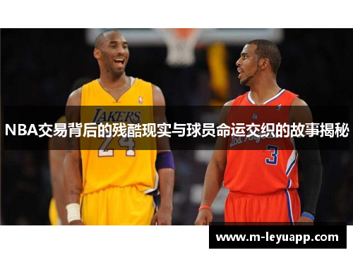 NBA交易背后的残酷现实与球员命运交织的故事揭秘