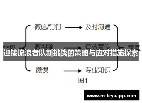 迎接流浪者队新挑战的策略与应对措施探索