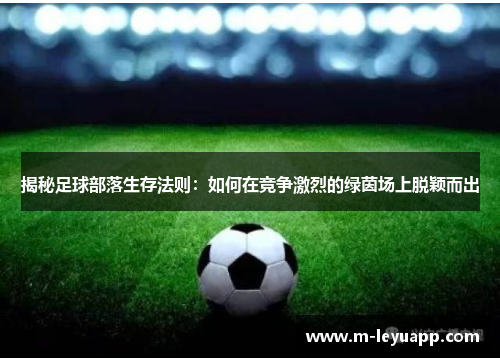 揭秘足球部落生存法则：如何在竞争激烈的绿茵场上脱颖而出