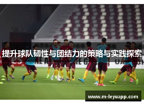 提升球队韧性与团结力的策略与实践探索