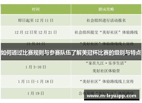 如何通过比赛规则与参赛队伍了解美冠杯比赛的级别与特点