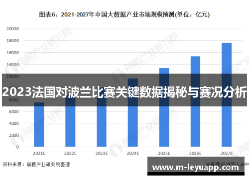 2023法国对波兰比赛关键数据揭秘与赛况分析