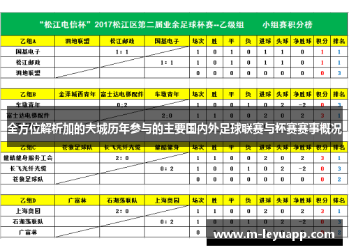 全方位解析加的夫城历年参与的主要国内外足球联赛与杯赛赛事概况